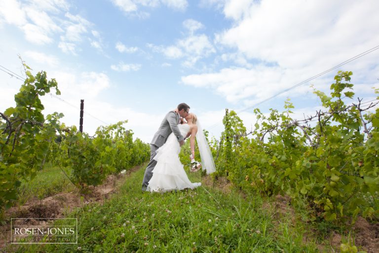 Rachel + Nick – A Vermilion Valley Vineyards Wedding and Vermilion on the Lake Clubhouse Reception