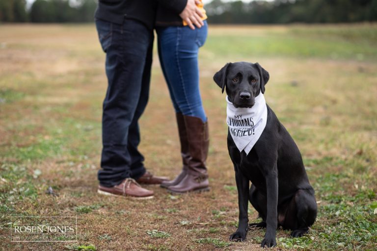 Becca + Tom – A Farm Engagement Session